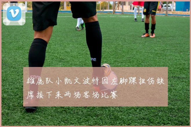 雄鹿队小凯文波特因左脚踝扭伤缺席接下来两场客场比赛