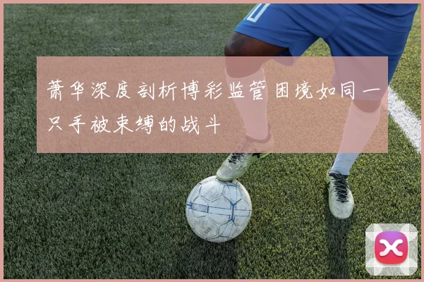 萧华深度剖析博彩监管困境如同一只手被束缚的战斗