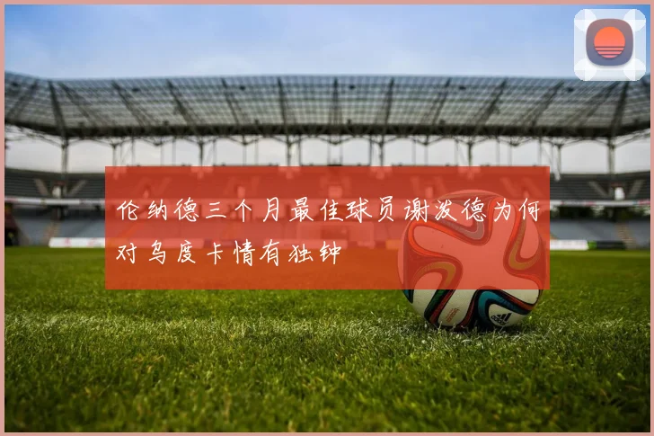 伦纳德三个月最佳球员谢泼德为何对乌度卡情有独钟
